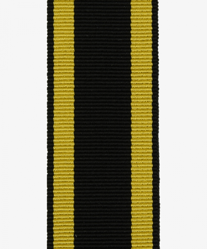 Württemberg, Lebensrettungsmedaille (294)